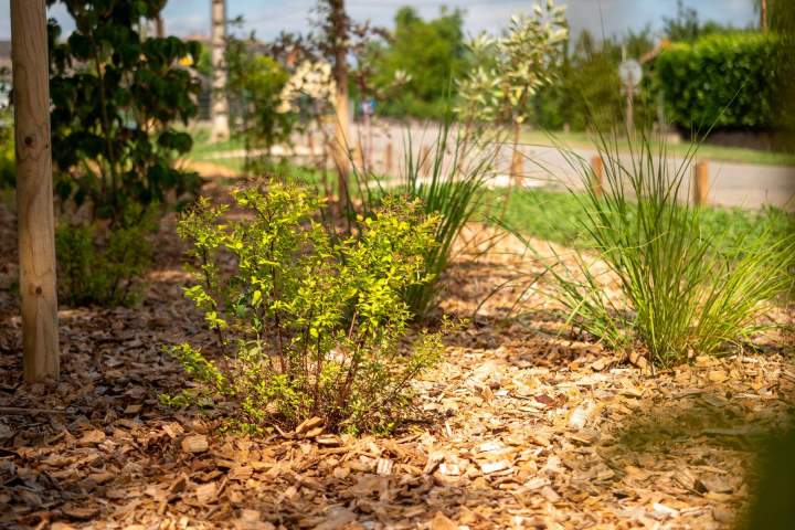 Créer un jardin Pau